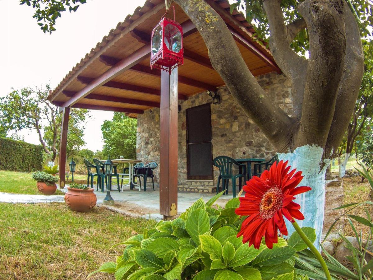 Patras Stonehouse With Large Yard - Πέτρινο Σπίτι Με Αυλή Villa Paralía Екстериор снимка